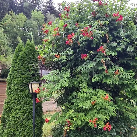 公寓 Laura 尤登堡