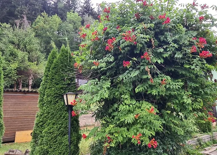 Apartment Laura Judenburg
